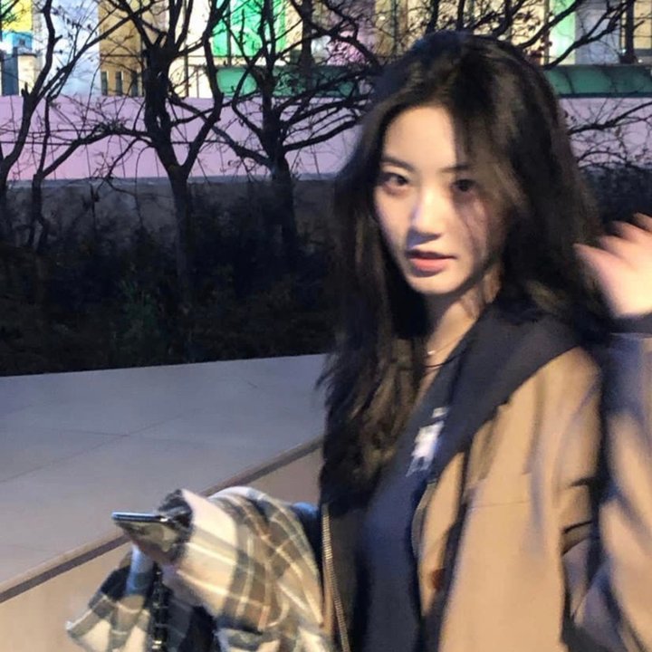 彼得松和芬杜斯3